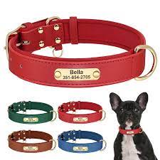 Collier de chien en cuir PU personnalisé, colliers rembourrés doux pour chiens, gravure gratuite du nom pour petits chiens moyens et grands, chat XS-XL réglable