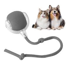 Balle Électrique Rechargeable pour Chien et Chat